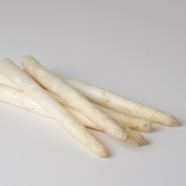 Spargel weiß, Solo 20 mm+