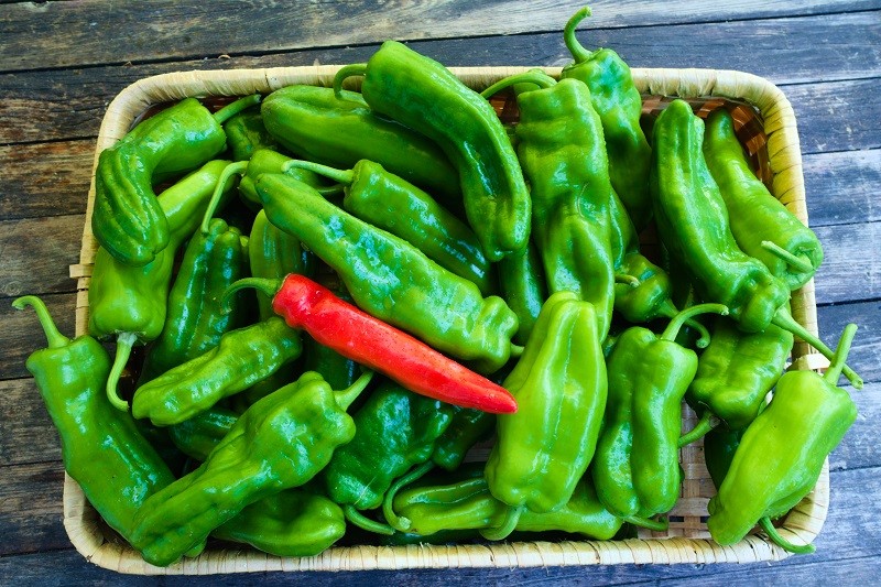 Paprika rot lang mittelscharf