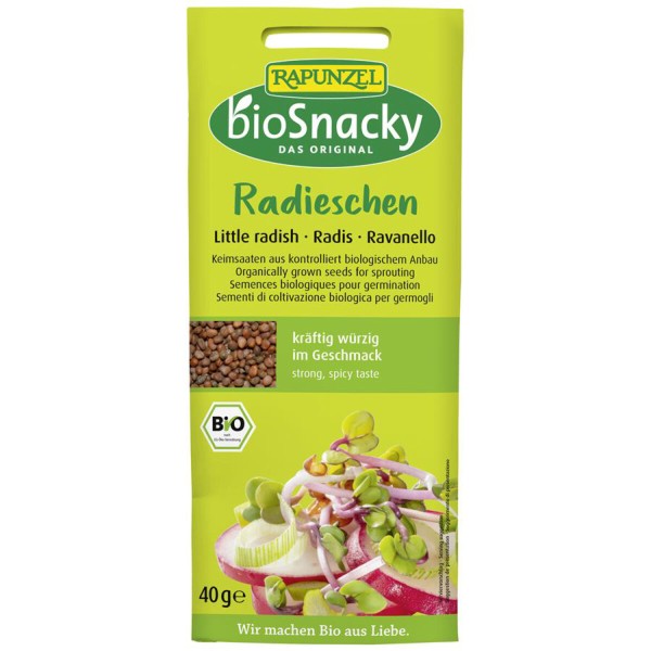 Keimsaat Radieschen