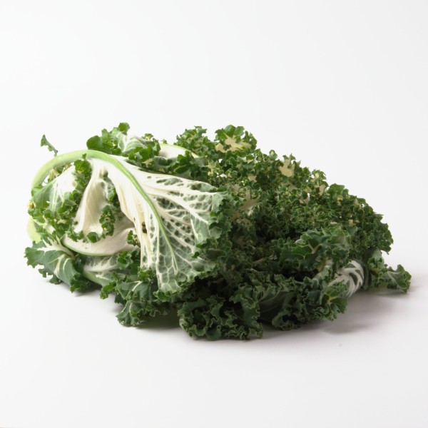 Grünkohl - Coloured Kale Casper white