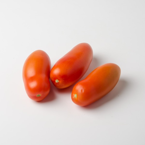 Tomaten "San Marzano"