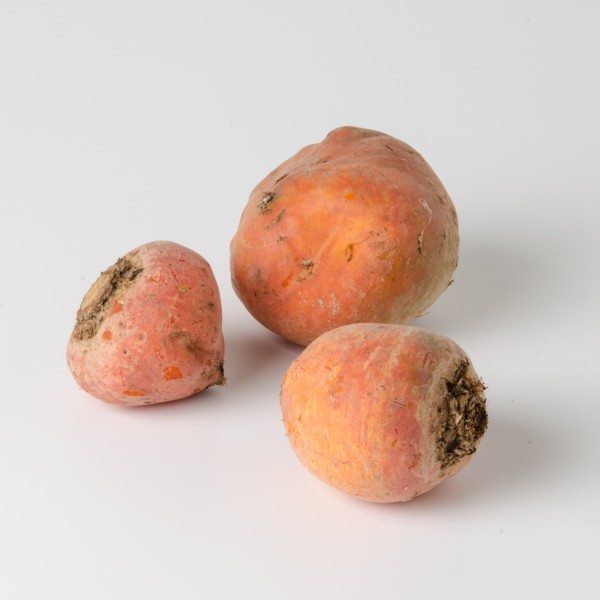 Rote Rüben - Golden Eye - gelbfleischig