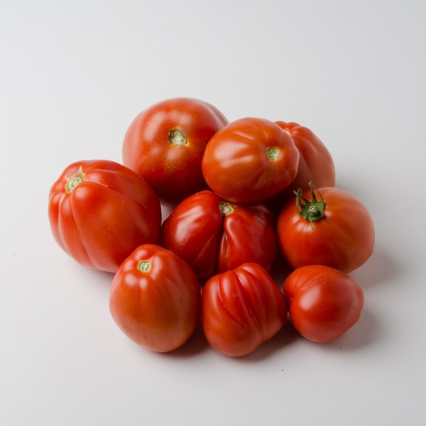 Tomaten zum Einkochen