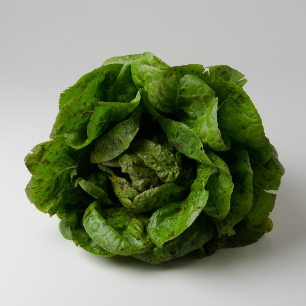 Romanasalat "Forellenschluss"