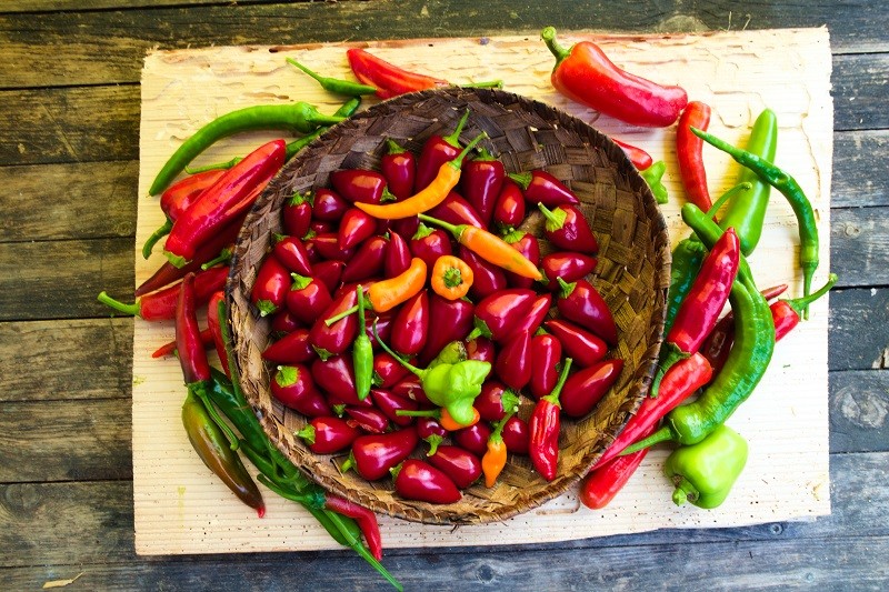 Chili Mix frisch (mittelscharf)