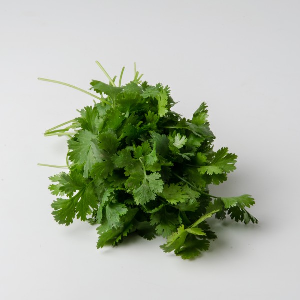 Koriander